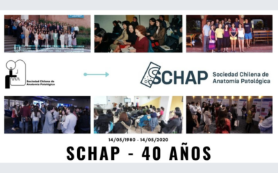 40 AÑOS DE SCHAP