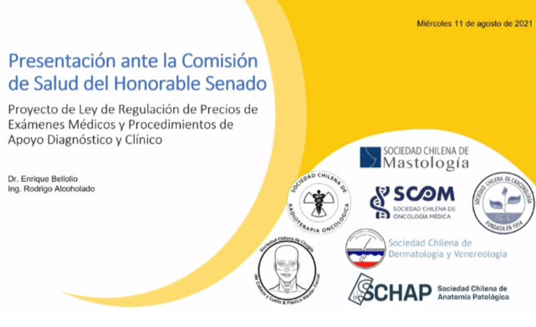 SCHAP, JUNTO CON OTRAS SOCIEDADES CIENTÍFICAS, PRESENTA ANTE COMISIÓN DE SALUD DEL SENADO