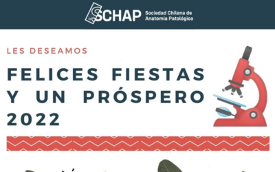 DIRECTIVA SCHAP LES DESEA FELICES FIESTAS