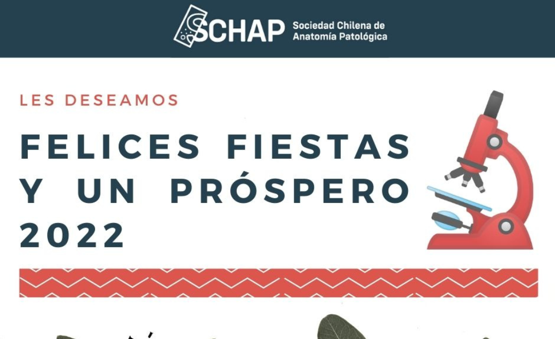 DIRECTIVA SCHAP LES DESEA FELICES FIESTAS