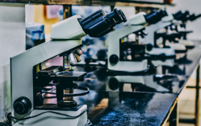CONSULTA PÚBLICA MINSAL: PROPUESTA ESTÁNDAR GENERAL DE ACREDITACIÓN PARA LABORATORIOS DE ANATOMÍA