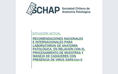 SCHAP ELABORA DOCUMENTO CON RECOPILACIÓN DE NORMAS NACIONALES E INTERNACIONALES POR TEMA COVID-19