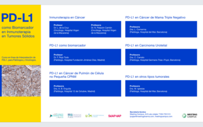 CURSO ONLINE: PD-L1 COMO BIOMARCADOR EN INMUNOTERAPIA EN TUMORES SÓLIDOS