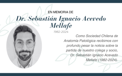 En memoria del Dr. Sebastián Ignacio Acevedo Mellafe, colega y socio de SCHAP.